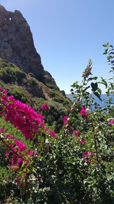 Tanca Piras - Emozioni A Strapiombo Sul Mare!!! Villa Nebida Dış mekan fotoğraf